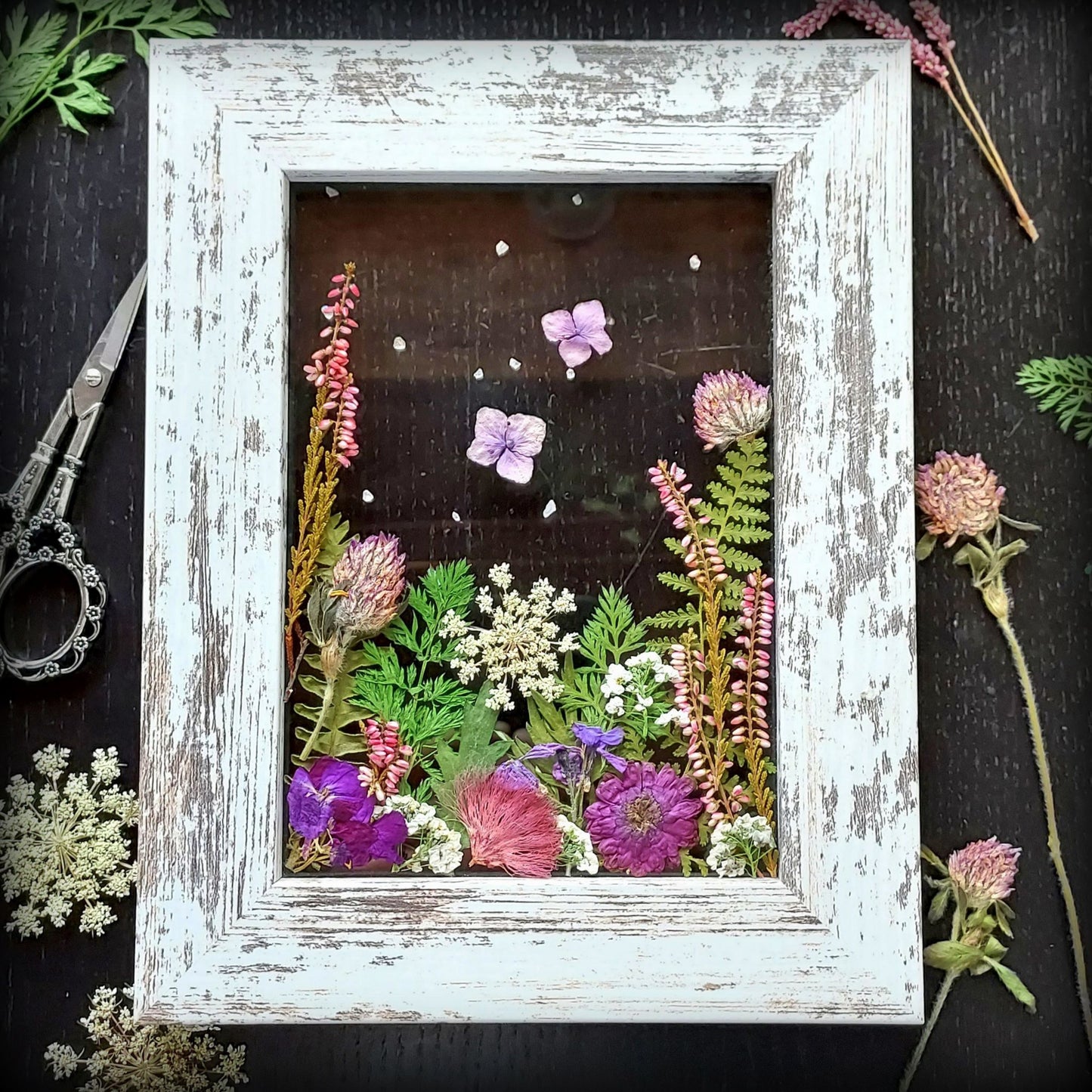 Butterfly Gardens