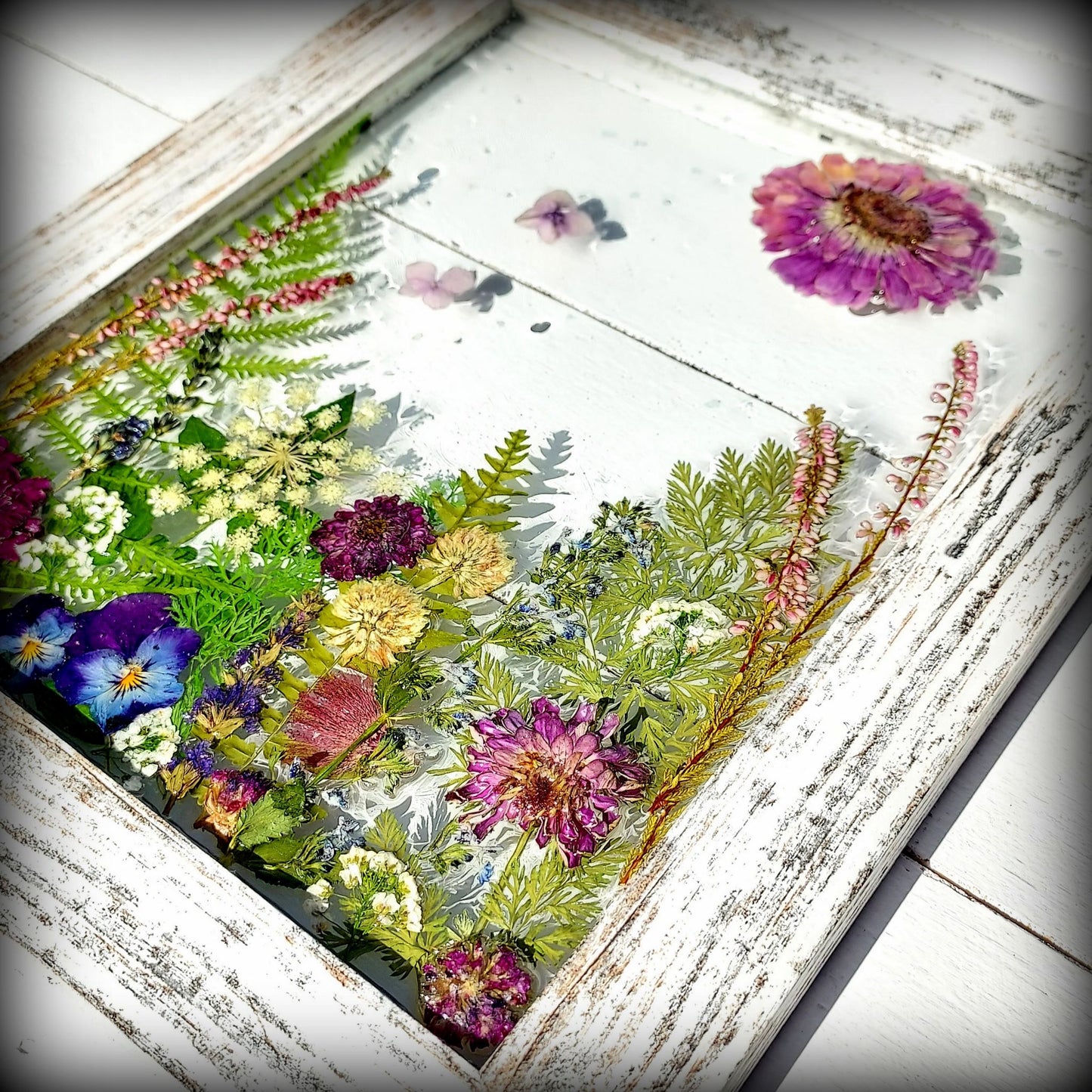 Fairy Gardens