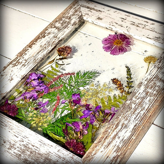 Purple Gardens