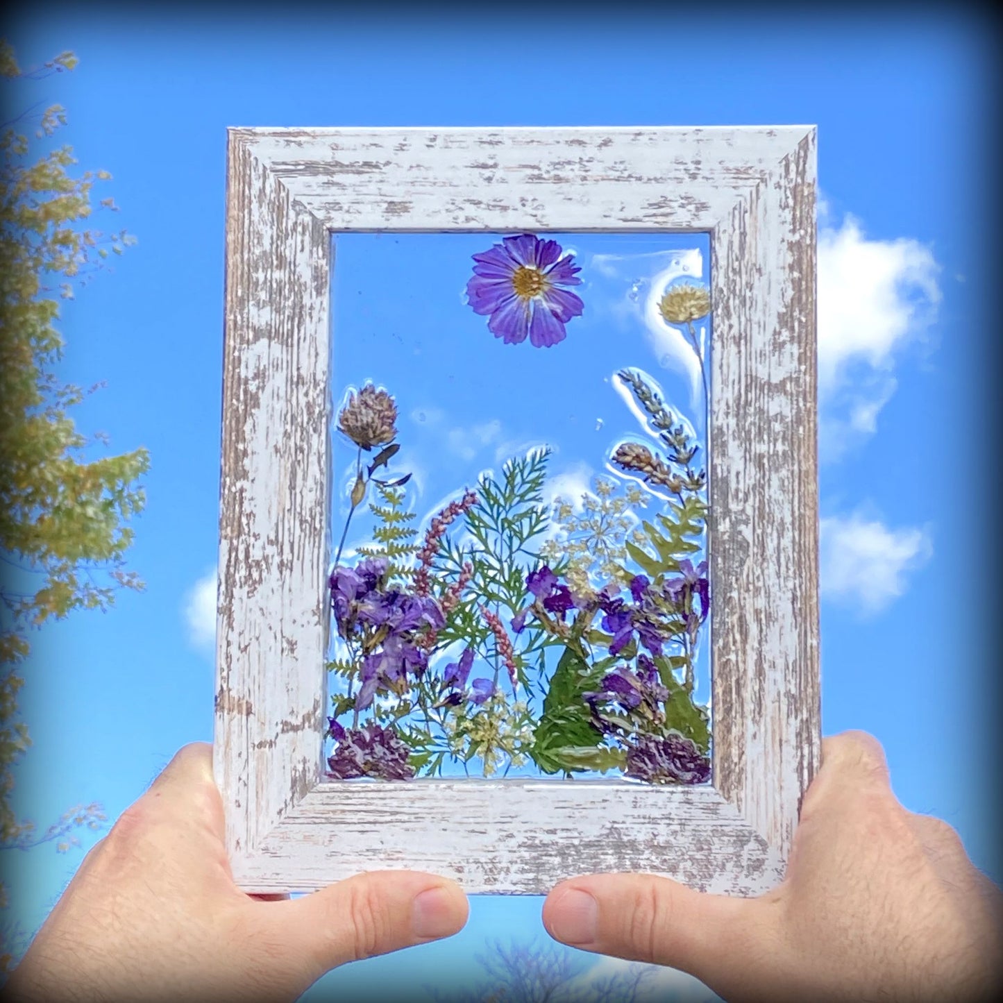 Purple Gardens