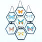 Butterfly & Dragonfly Frames