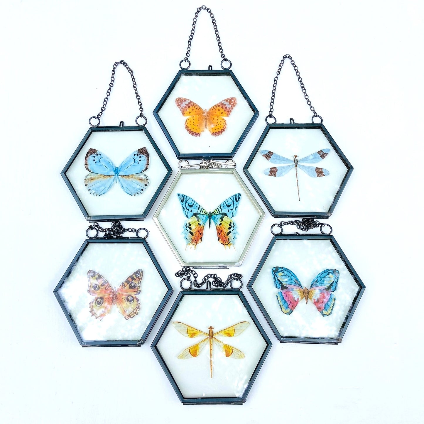 Butterfly & Dragonfly Frames