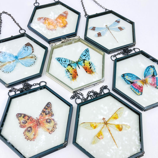 Butterfly Frames (Coming Soon)