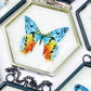 Butterfly & Dragonfly Frames