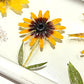Sunflower Landscape
