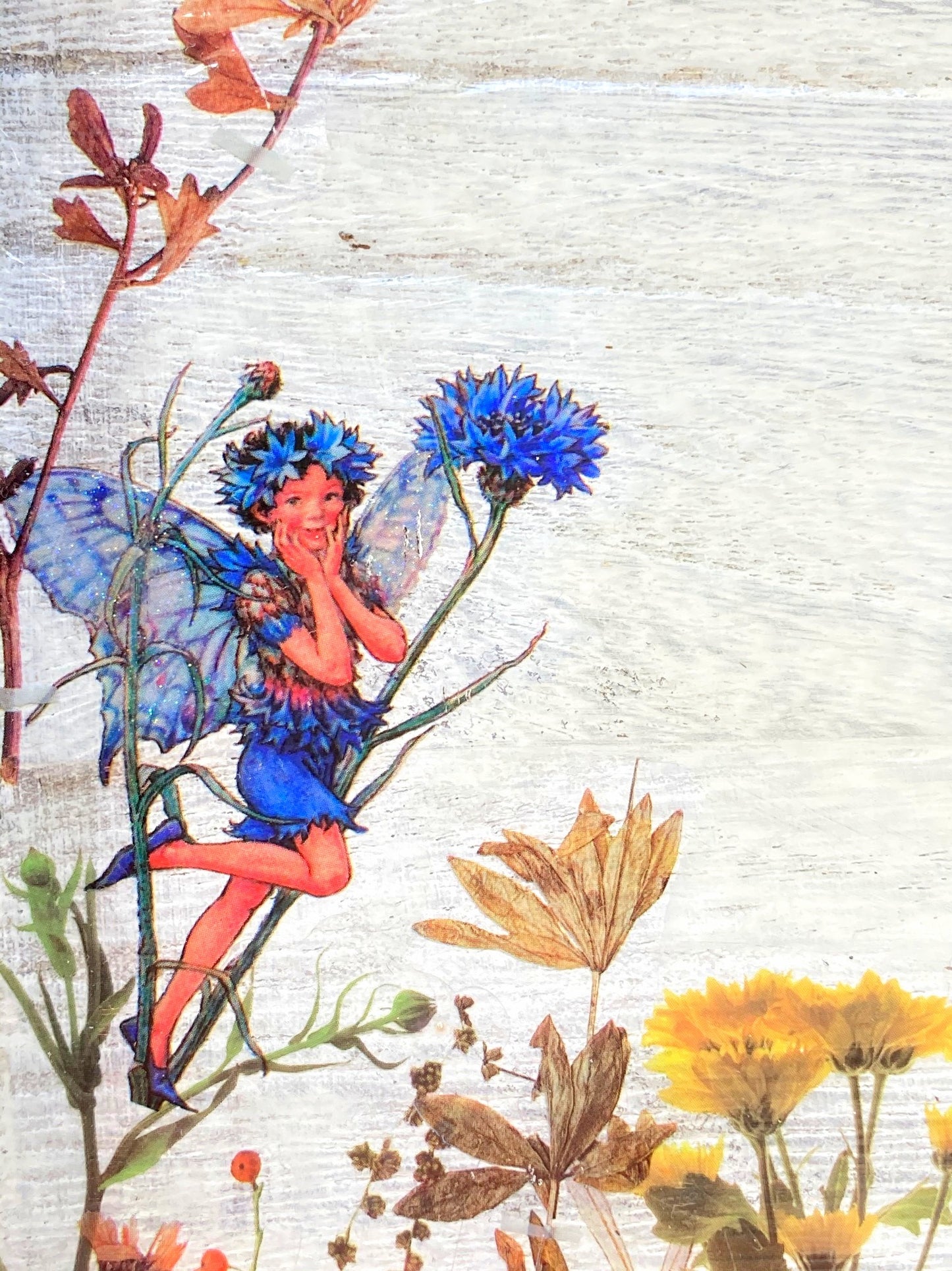 Fairy Notebooks (Coming Soon)