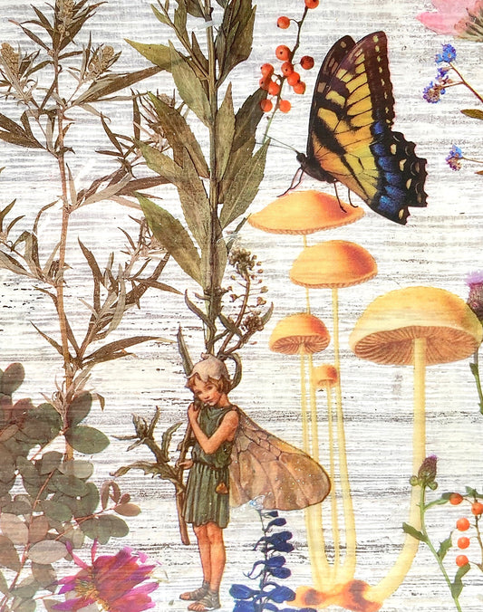 Fairy Cards (Coming Soon)