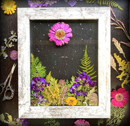 Zinnia Sun